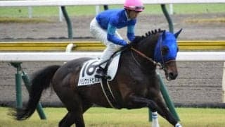 距離短縮がプラスに出るか 初のスプリント戦でハリウッドヒルズが決める