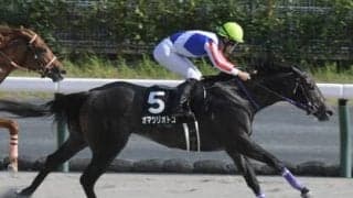 ユニコーンＳで穴をあけるのは、芝の重賞に出走歴がある馬、躍進著しいヘニーヒューズ産駒