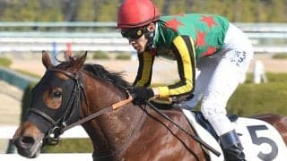 待ちに待った距離短縮 土曜阪神7Rはランスオブサウンドを狙い撃ち