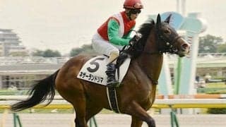 【土曜函館7R】前走は全く追えず ネザーランドリマの巻き返しだ