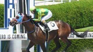 【阪神5R新馬戦結果】サトノフェニックスが好位から抜け出してデビュー勝ち