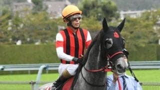 【マーメイドS予想】人気薄の台頭で波乱含み！ 若さと勢いが重要なハンデ重賞