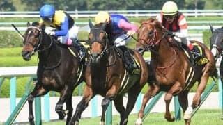 【米子S結果】10番人気メイショウシンタケが差し切りV 3連単は120万超の波乱に