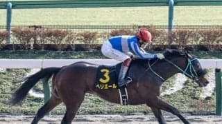 【ユニコーンS予想】ぺリエールに黄色信号!? 外国人ジョッキー優勢も近年さえないルメール騎手