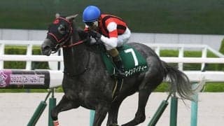 【マーメイドS前日オッズ】連覇を狙うウインマイティーが3.3倍で1番人気