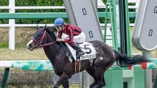 【ユニコーンS前日オッズ】ブライアンセンスが3.0倍で1番人気