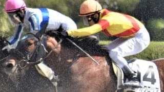 【日曜阪神4R予想】2.2秒差8着→2.0秒差10着 それでも今回一変あるぞ