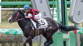 【AI予想・ユニコーンS】週初から一変した「◎」人工知能が推奨するダート界のスター候補とは