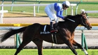 【日曜東京7R予想】のちの毎日杯覇者シーズンリッチに先着した実績アリ！ 立て直して負けられぬ一戦