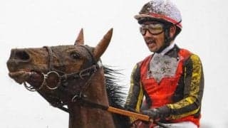 【日曜阪神8R予想】近親にジェンティルドンナやジェラルディーナ 良血馬が良馬場で決める