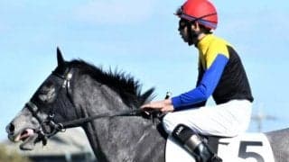 【日曜函館7R予想】前走は負けて強しのウィンターダフネ 3kg減起用で勝機だ