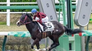 【ユニコーンS予想】ダート界きっての出世レース 求められるは名馬に相応しい総合力