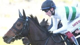 【マーメイドS予想】過去10年で1番人気が“僅か1勝” 波乱必至な牝馬限定ハンデ戦