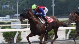 【高知・カレンブラックヒル賞】アポロティアモが3連勝…吉原「完勝でした」