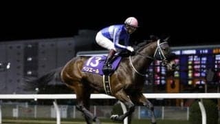 【ユニコーンS予想】注意すべきは6つのオープン前哨戦 傾向難しい一戦はローテが決定打に？