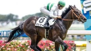 【東京5R新馬戦結果】1番人気のボルケーノが逃げ切り勝ち 近親に日豪のGIで活躍のポップロック