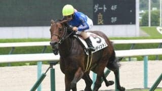 【阪神5R新馬戦結果】4番人気のレディントンが力強く差し切る