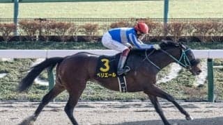 【ユニコーンS・馬体重】ペリエールは472kg(前走海外)、ブライアンセンスは492kg(+4)
