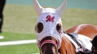 3連単619万6220円の超高配当飛び出す！ 8番人気→15番人気→12番人気で決着/函館8R結果