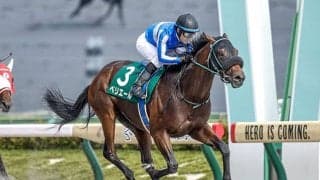 【ユニコーンS結果】ペリエールが3馬身抜け出し重賞初制覇！