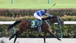 【ユニコーンS】海外帰りペリエールが人気に応える…ルメール騎手は特別3連勝