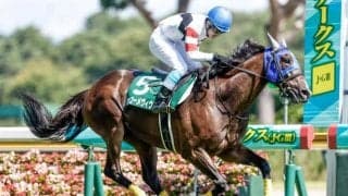 【東京JS】トライフォーリアル、ホッコーメヴィウスらが登録