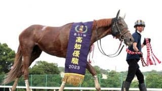 【高知・高知優駿結果】ユメノホノオが8連勝で高知二冠！ 南関重賞2勝のポリゴンウェイヴに大差圧勝