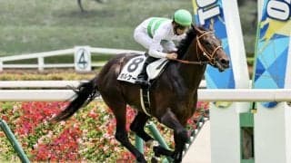 【新馬/東京5R】ルーラーシップ産駒 ボルケーノが人気に応える