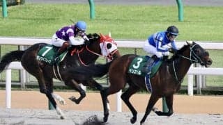 WIN5は4万9270円の払戻し…ユニコーンSはペリエールが完勝