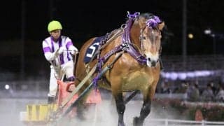 【ばんえい・北斗賞】メムロボブサップが重賞14勝目…阿部武「しっかり歩いてくれる」