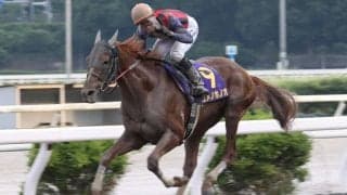 【高知優駿】ユメノホノオ、大きな出遅れも大差圧勝で高知二冠達成…吉原「強かったに尽きる」