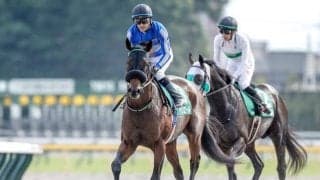 【ユニコーンS】売上は62億3307万9700円で昨年より約1億円減少