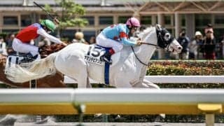 【新馬/東京6R】白毛馬アマンテビアンコがデビュー戦を快勝
