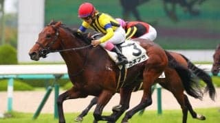 【阪神8R】永島まなみが今年の19勝目…カネフラで差し切りV