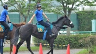 超抜時計で追い切り消化 調教師も認める素質馬ルージュスエルテ/関東馬メイクデビュー情報