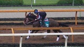 セレクト1億8000万円のレイデオロ産駒 追い切りでもポテンシャルの高さ披露/関西馬メイクデビュー情報