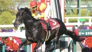 【AI予想・宝塚記念】イクイノックスは圏外で波乱必至!? 春のグランプリで人工知能が高評価を与えた本命候補3頭とは