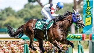 【東京ジャンプS想定騎手】ホッコーメヴィウスは黒岩悠騎手、ロードアクアは難波剛健騎手