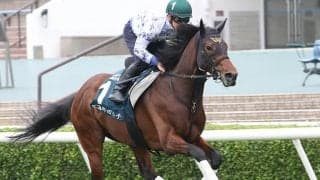 GIウイナーの億超えホースが宝塚記念参戦 相性良き阪神コースで好走なるか