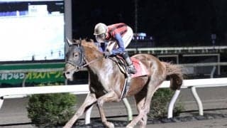 【高知・土佐寒蘭特別】吉原寛「反応非常に良かった」ユメノホノオが8馬身差V