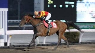 【高知・八畳岩特別】ガラデレオンが最内から突き抜ける/山崎雅「後ろからは想定内」