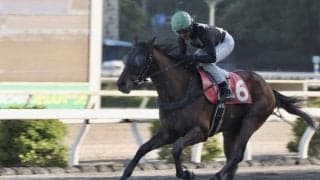 【高知・仙台屋桜特別】単勝1.0倍デステージョが完勝…宮川「負けられないという気持ち」