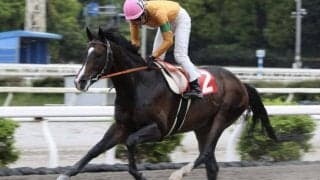 【高知・四万十川特別】アイファーキングズが6馬身差で圧逃…岡村「不安要素ほとんどなかった」