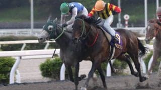 【高知・二十四万石賞】ガルボマンボが熾烈な追い比べを制する…林「落ち着いて仕掛けることが出来た」