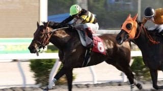 【高知・スピカ特別】サノハニーが逃げ切りで人気に応える…塚本「このレース目標にしてきた」