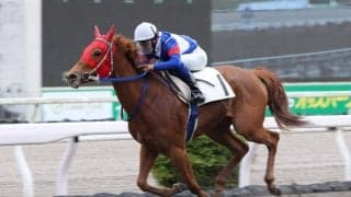 【高知競馬】ルーキー阿部基嗣騎手が初勝利…「両親に伝えたい」
