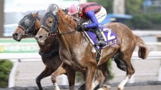 【高知・黒潮皐月賞】ユメノホノオvsデステージョの一騎打ち！破竹の6連勝でユメノホノオに軍配…高知クラシック初戦