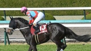 【宝塚記念展望】上半期の総決算、上がりが掛かりスタミナが要求される