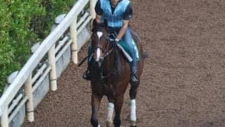 ギフトフォーユーなど、先週のゲート試験/栗東トレセンニュース