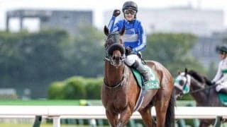 連対率36.7％と驚異的な相性 東京ダート1600mに向くヘニーヒューズ×フジキセキの配合